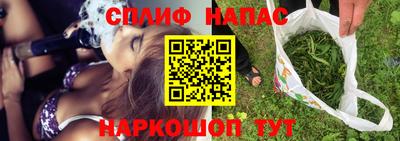 стаф Славгород