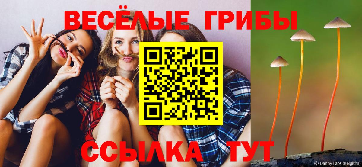 Холмск  Псилоцибиновые грибы мухоморы  цены   Псилоцибиновые грибы ЛСД  Вход с VPN 